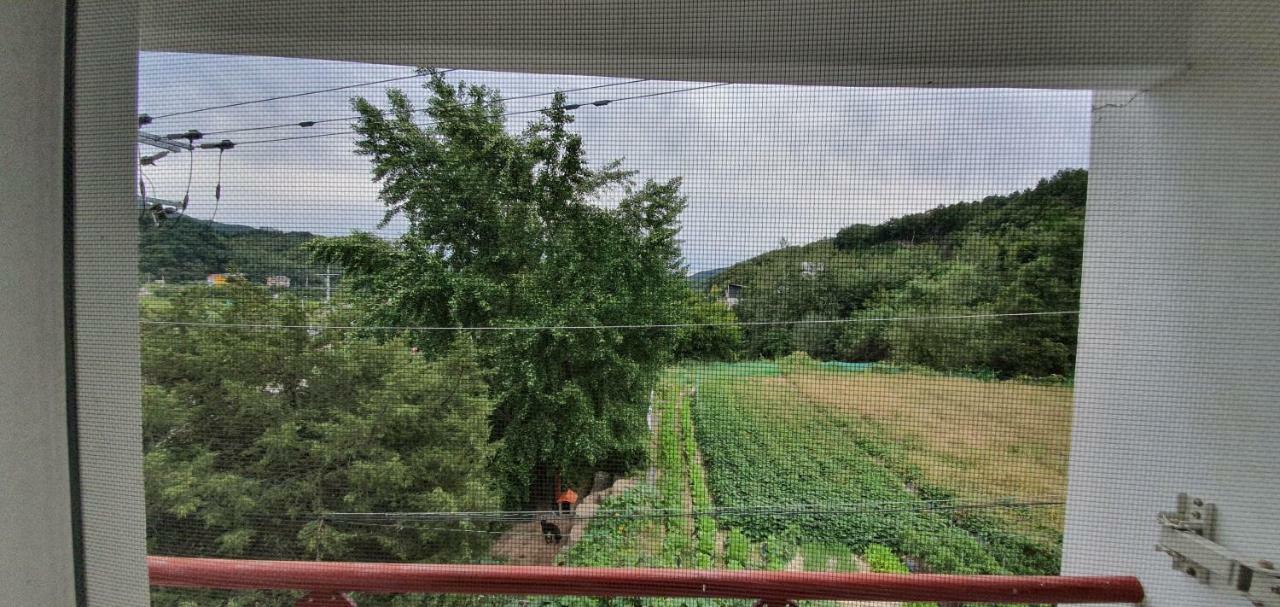 Gangchon Beautiful Pension Chuncheon Zewnętrze zdjęcie
